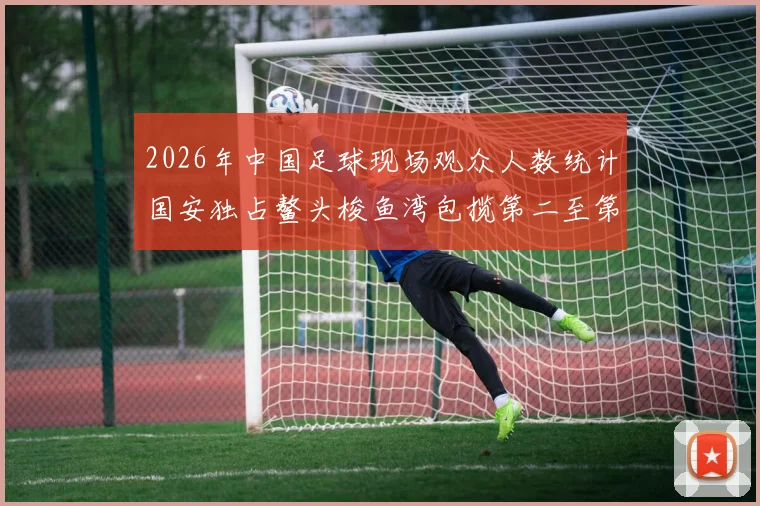 2026年中国足球现场观众人数统计国安独占鳌头梭鱼湾包揽第二至第七位